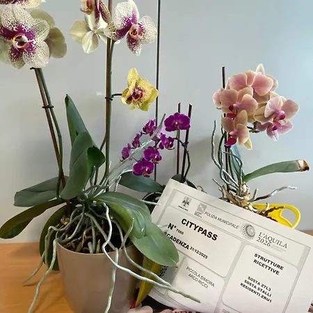 Piccola Dimora Arco Ricci * LʼAquila