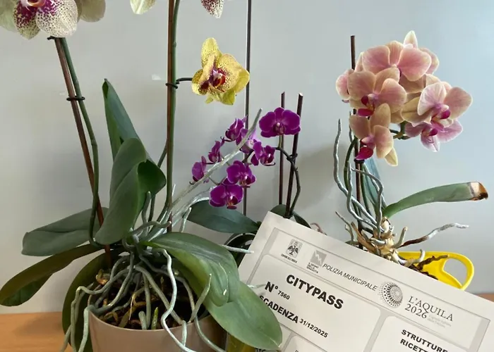 Piccola Dimora Arco Ricci * LʼAquila